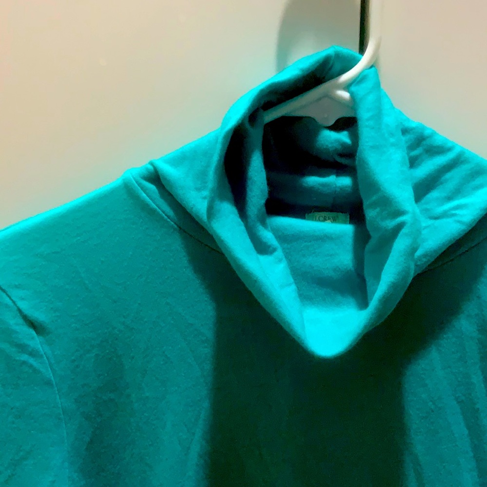 J Crew Tissue Turtle Neck